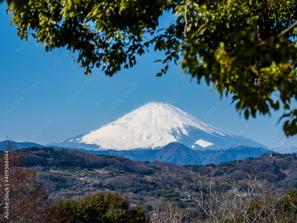 Fototapeta premium 早春の青空 吾妻山公園からの富士山 1月