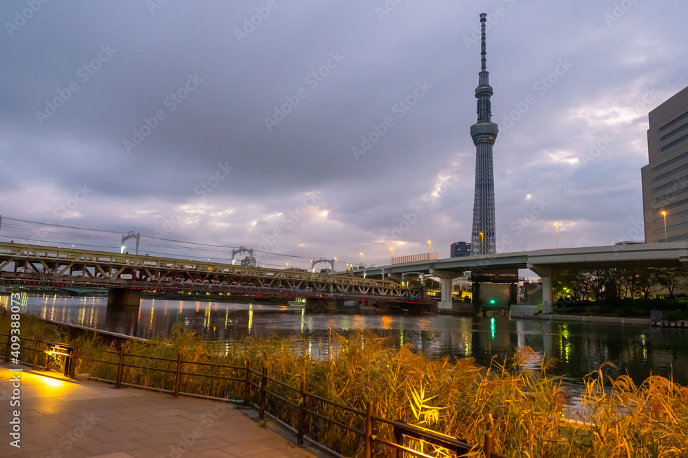 Japan. Tokyo. Sky tree. TV tower. Tokyo Bridges. Evening panorama of the capital of Japan. Guide to the sights of Tokyo. Excursion to the observation deck of the sky tree. A city in East Asia.