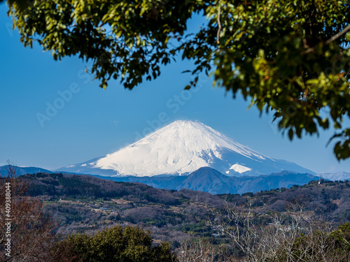 早春の青空 吾妻山公園からの富士山 1月