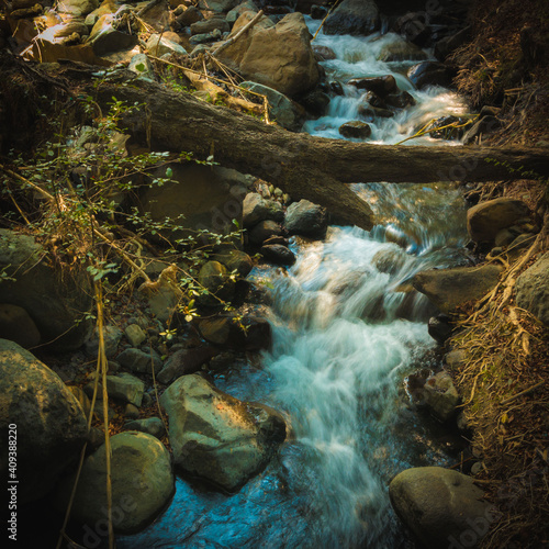 stream in the forest