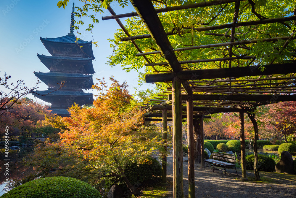 Fototapeta premium Japan. The Church In Kyoto. Japanese pagoda of Toji temple. East temple in Kyoto. Guide to Kyoto. Toji pagoda on the background of the Park. Landscape of the temple complex in Japan. Autumn in Japan