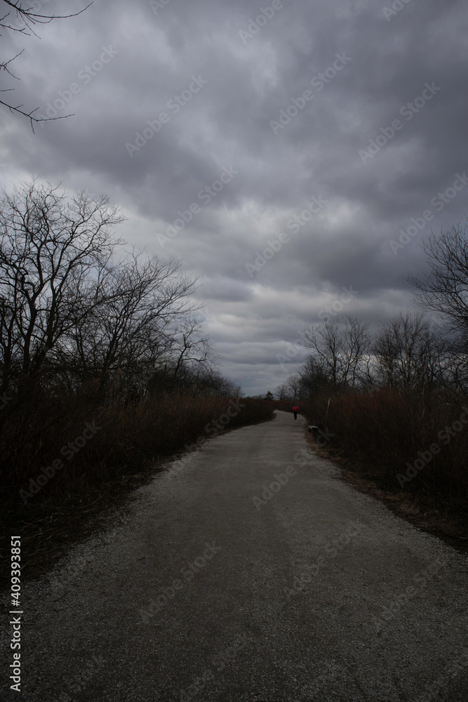 trees, sky, clouds, mountain, night
trees, sky, clouds, mountain, night