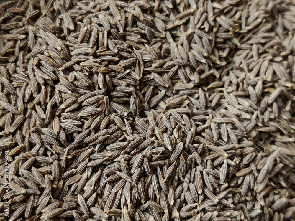 cumin seeds Indian spices cumin seeds Indian spices