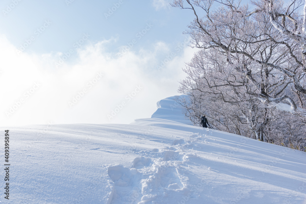 custom made wallpaper toronto digital冬山登山