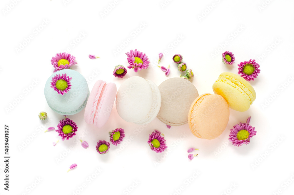 Group of delicious pastel sweet macaron with little purple cute flower on white background