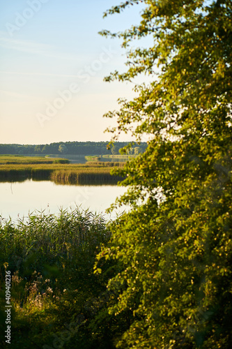 Vertical photo of a lake with blue sky and green tree in the foreground during sunset