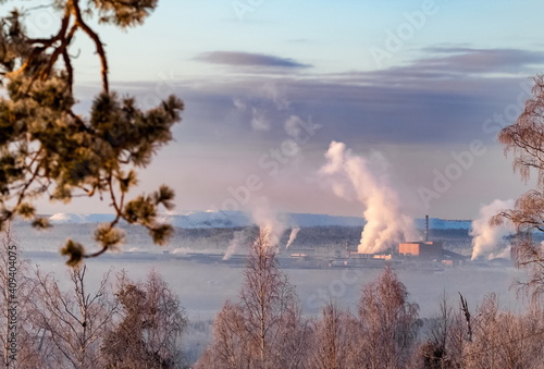 Pine branch on the background of trees, smoke from pipes, forest, frosty haze, sky with clouds in the rays of the setting sun