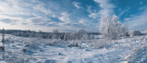Panorama of winter Stone Hill park in sunlight. Snow-covered conifer forest on a high hill in frosty winter day. Frozen grass and trees in the rays of cold winter Sun.