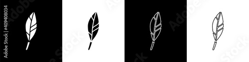 Set Magic feather icon isolated on black and white background. Vector.