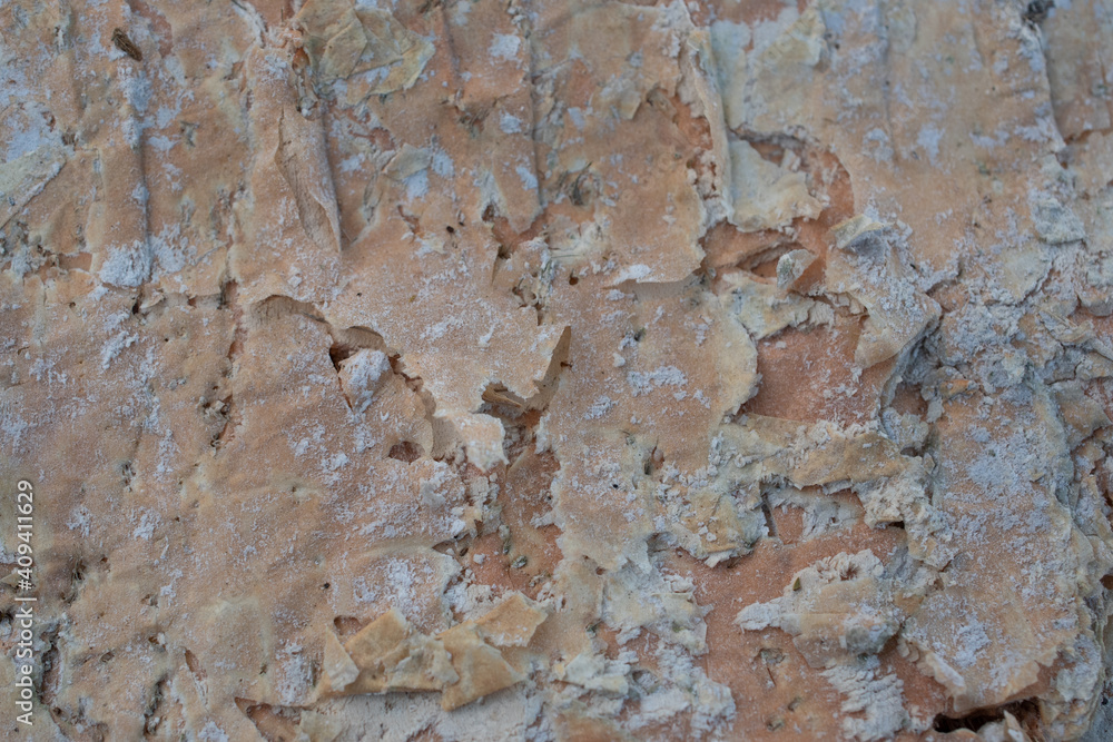 Paper bark tree texture Paper bark tree texture