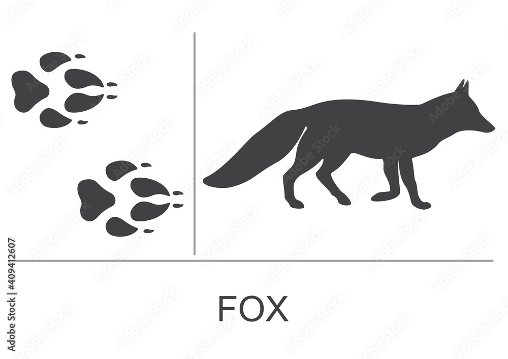 Silhouette and footprints of a fox. Vector illustration on a white