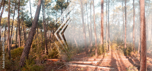 In this image you can see the trees with orange-teal colors, an artificial fog created in post-production with some shapes and at the root of the ground there is a shadow of a person.