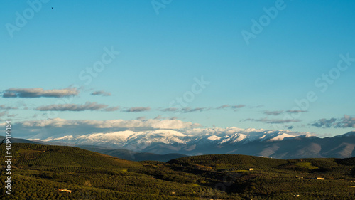 countryside landscape with snowy mountains and blue sky