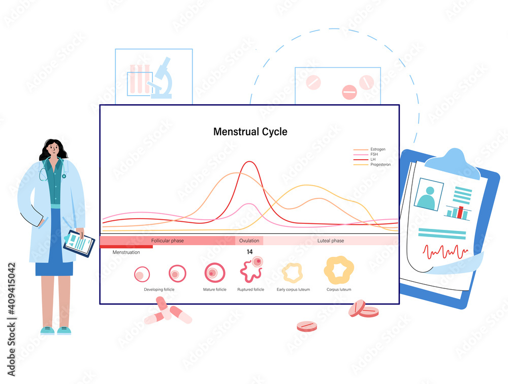 Menstrual cycle concept Menstrual cycle concept