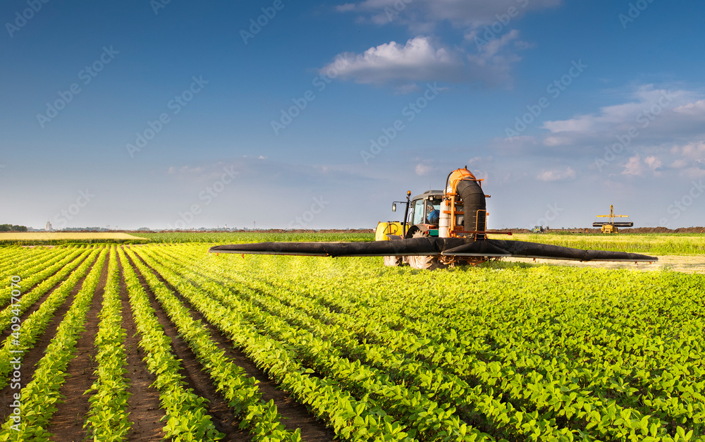 Tractor spraying soy field in sunset. Tractor spraying soy field in sunset.