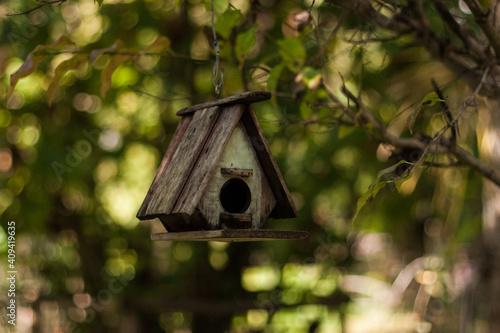 Wooden old birdhouse hanging on the tree in the summer garden