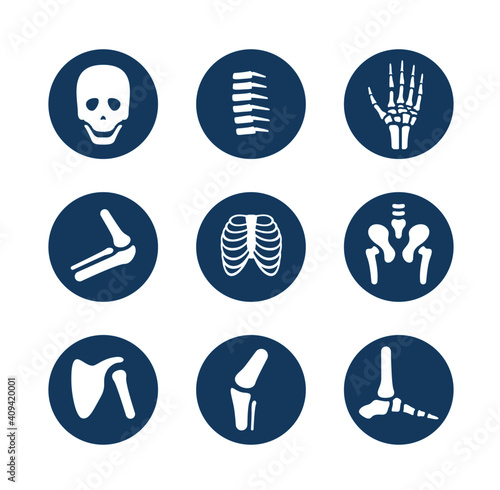 human bone and joint icon set