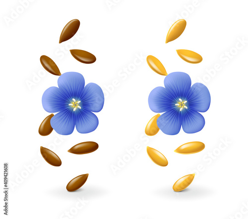 Falling golden and brown flax seeds with blue flower in the air. Isolated on white background. Realistic vector illustration.