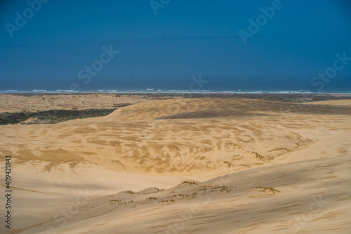 sand dunes in the desert