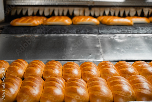 Industrial conveyor oven in a bakery. Hot bread leaves the automated oven. Industrial bread production
