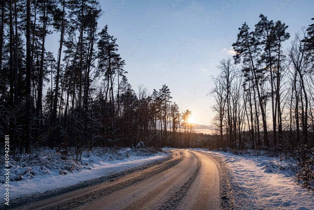 road on sunset in the forest road on sunset in the forest