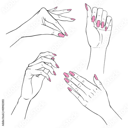 Manicure hands. Vector collection of hand drawn elegant woman hands in various gestures and frangipani, plumeria flower.