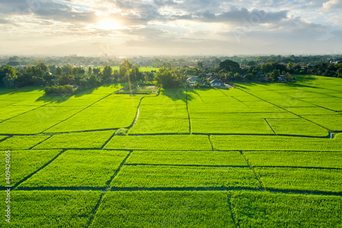 Obraz na plátně Land or landscape of green field in aerial view