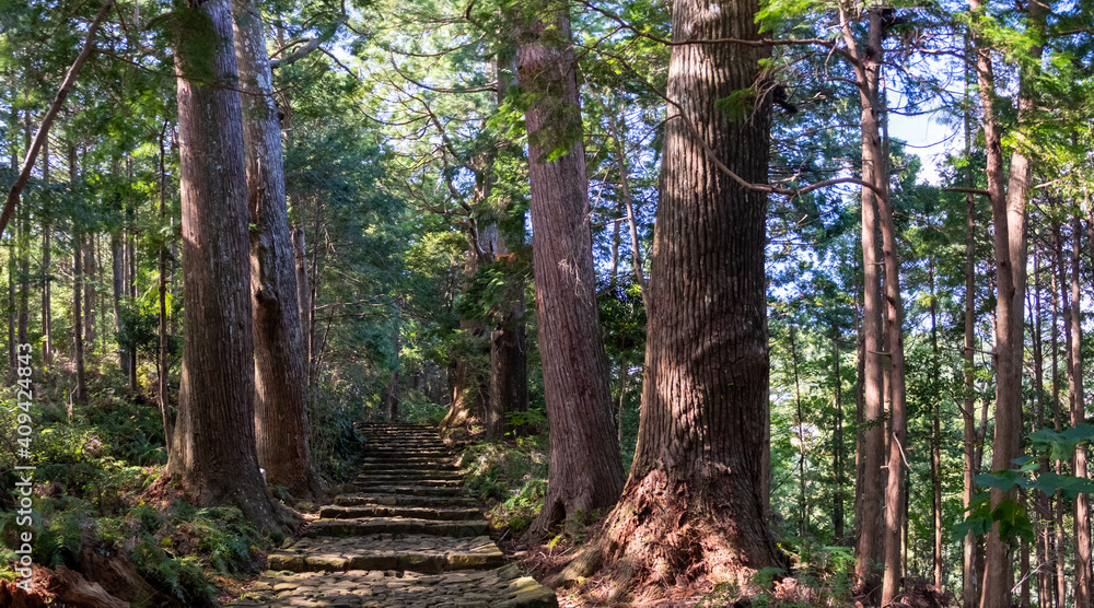 Part of Kumano Kodo pilgrimage trail leading through the forest to Kumano Nachi Taisha Shinto shrine in Wakayama Prefecture, Japan.