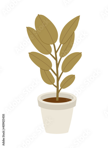 Vector illustration of the flowerpots with ficus, isolated on a white background. Concept of home flower, springtime gardening, floriculture. Hand-drawn set in flat style.