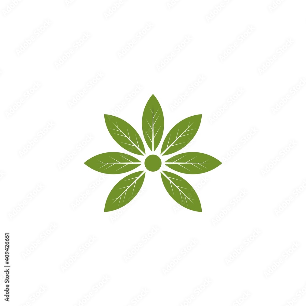green leaf logo Design Vector Stock