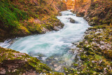 Mountain river in the picturesque Vintgar gorge in autumn Slovenia