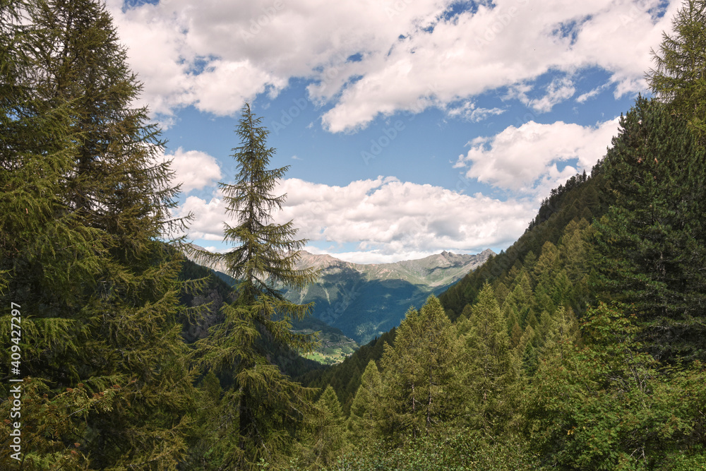 Fototapeta premium paesaggio montagna estate 
