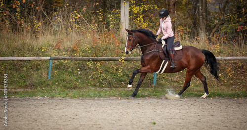 Dressage horse with rider doing ground work, horse galloping and kicking a puddle with his hind foot..