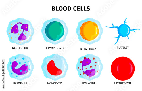 Blood Cells Set