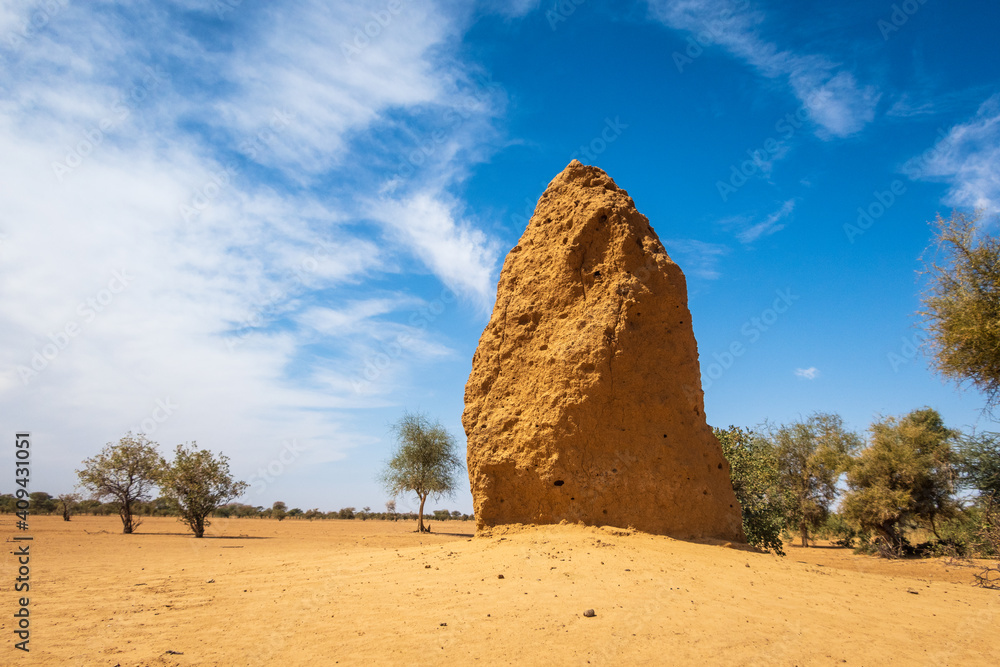 Big termite building in Mauritanian savannah