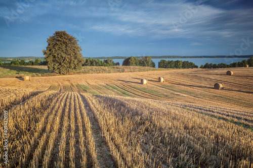 Fototapeta Naklejka Na Ścianę i Meble -  View of the Masurian fields.