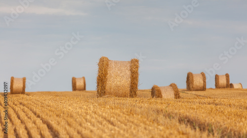 Fototapeta Naklejka Na Ścianę i Meble -  View of the Masurian fields.