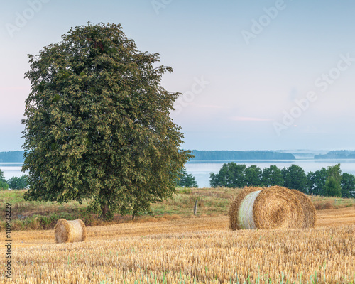 Fototapeta Naklejka Na Ścianę i Meble -  View of the Masurian fields.