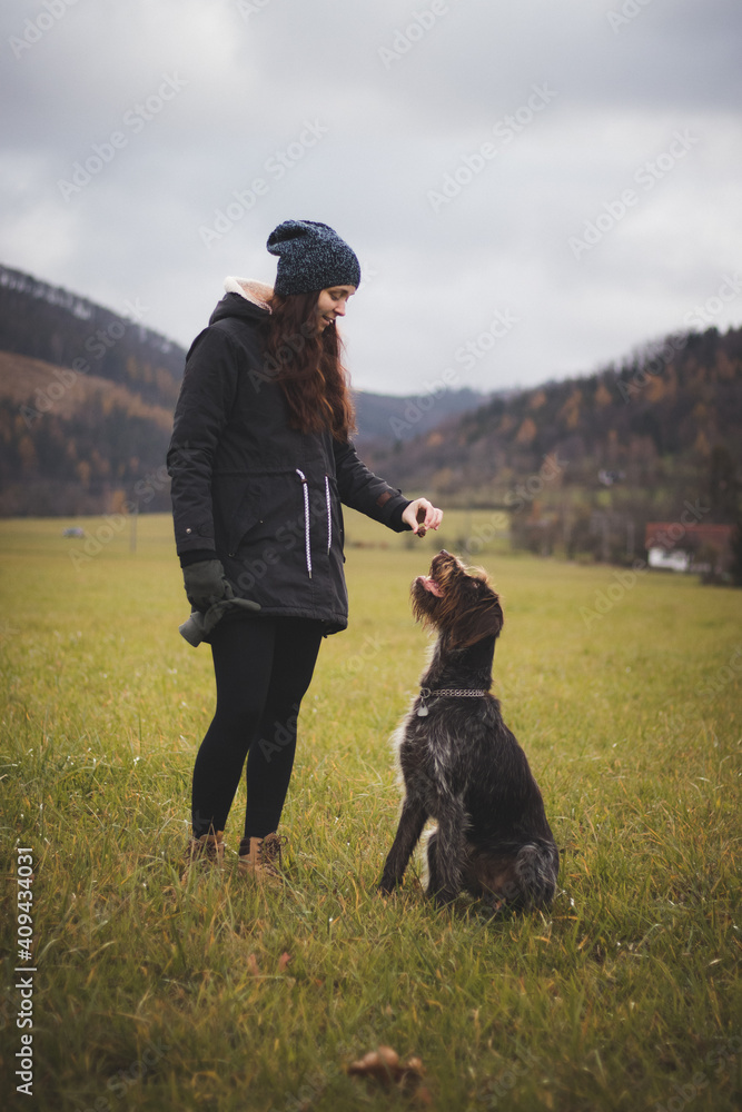 young dog teacher gives some crackers to her beautiful dog bitch. Rough-coated Bohemian Pointer opens his mouth and bites into a biscuit. Binary portrait of love between dog and women young dog teacher gives some crackers to her beautiful dog bitch. Rough-coated Bohemian Pointer opens his mouth and bites into a biscuit. Binary portrait of love between dog and women