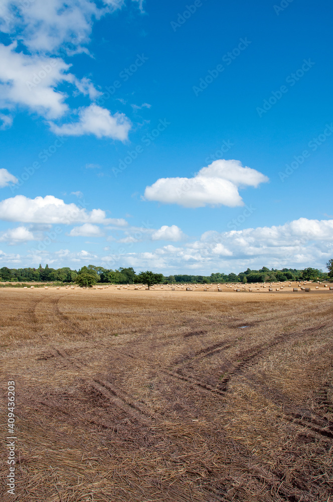 Summertime bare landscape with field and clouds