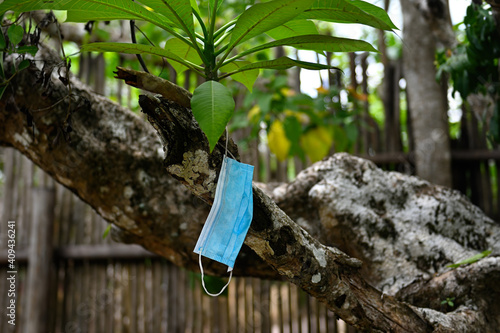 A used medical face mask hangs outside on a branch of a large tree. A blue mask hangs on a tree. A dirty lost mask. Pollution of nature after covid 19. Discarded surgical mask