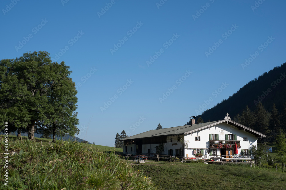 Auf der Niederhofer Alm