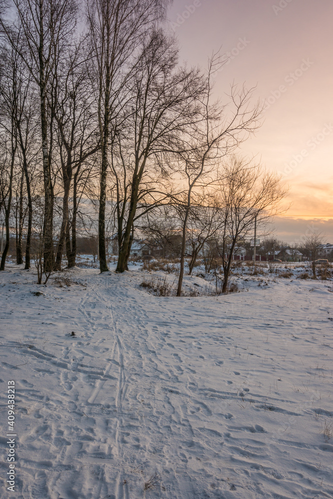 Freeze landscape of the forest during the sunset. Trees are highlighted by the sunlight. Freeze landscape of the forest during the sunset. Trees are highlighted by the sunlight.