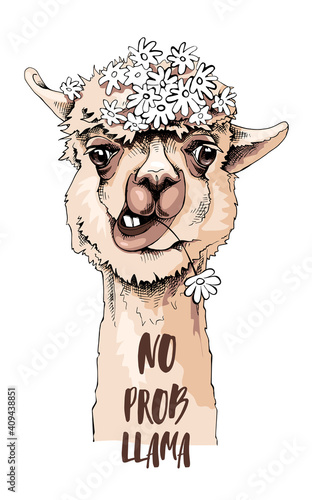 Funny poster. Portrait of Llama with a chamomile flowers. No probllama - lettering quote. Humor card, t-shirt composition, hand drawn style print. Vector illustration.