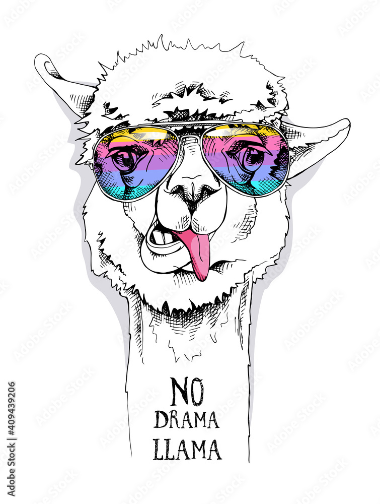 Funny poster. Portrait of a Alpaca in a rainbow glasses. No drama, llama - lettering quote. Humor card, t-shirt composition, hand drawn style print. Vector illustration. - obrazy, fototapety, plakaty 