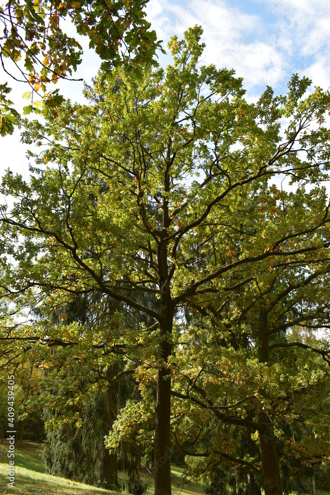 Naturfotografie in Hessen