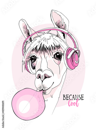 Funny poster. Portrait of Llama in a pink Headphones and with a bubble gum. Because cool - lettering quote. Humor card, t-shirt composition, hand drawn style print. Vector illustration.