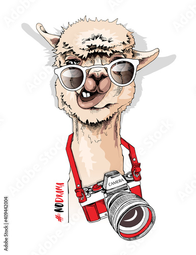 Funny poster. Portrait of Llama in a sunglasses and with a camera. #No drama - lettering quote. Humor card, t-shirt composition, hand drawn style print. Vector illustration.