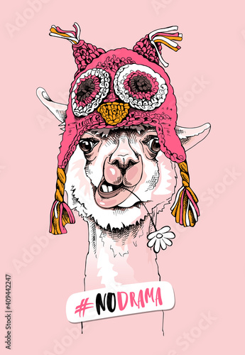 Funny poster. Portrait of Llama in a pink knitted owl Hat and with a chamomile flower. #No drama - lettering quote. Humor card, t-shirt composition, hand drawn style print. Vector illustration.