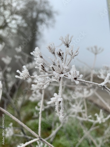 Winter, Frost © Alexander
